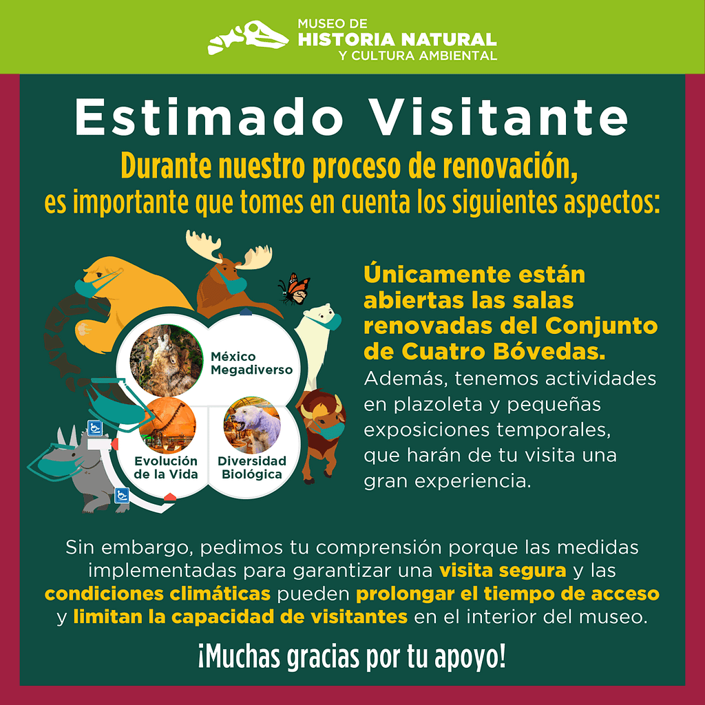 Visitando el Museo de Historia Natural 3
