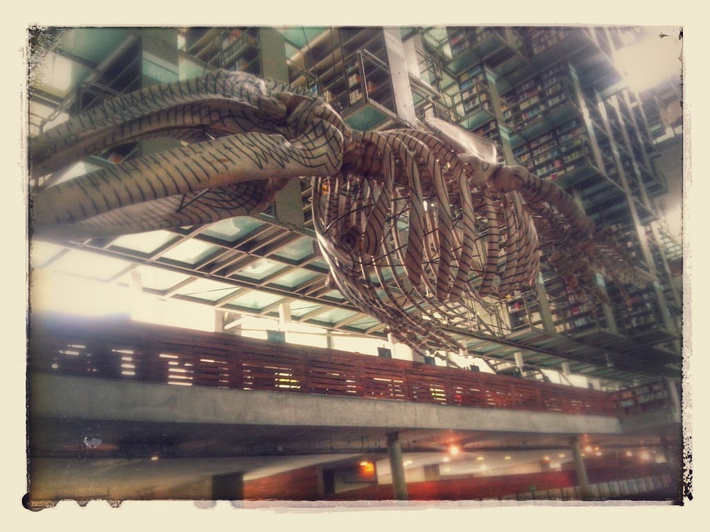 dinosaurio