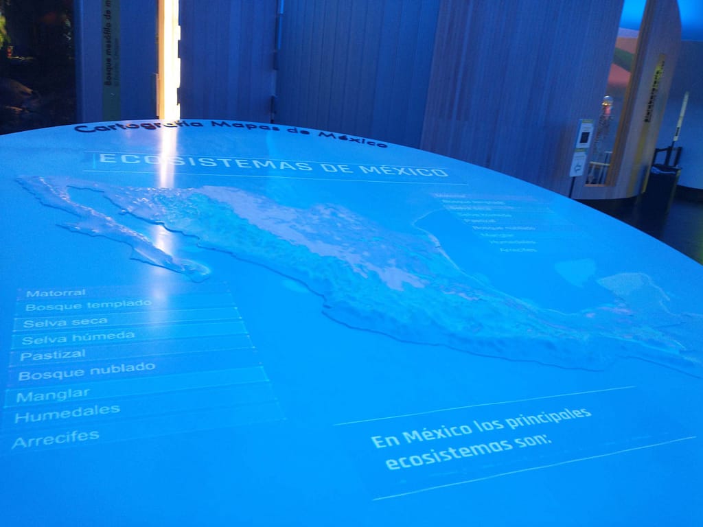 Visitando el Museo de Historia Natural 4