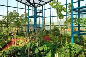 Días de Parque: Bicentenario Refineria Df 2