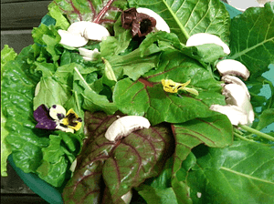 Ensalada Alicia