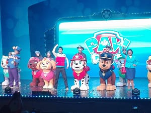 vacaciones paw patrol