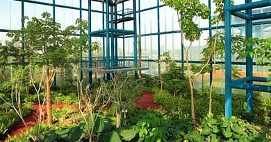 Días de Parque: Bicentenario Refineria Df 2