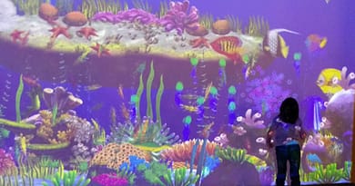Acuario Inbursa perfecto para los peques 31