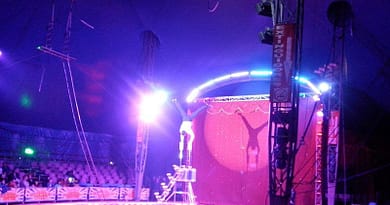 Una noche en el circo Hermanos Fuentes Gasca 1