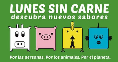 lunes sin carne zanahoria