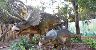 dinosaurios batán