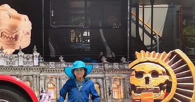 Cdmx en turibus con peques