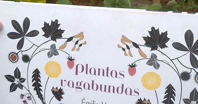 plantas vagabundas