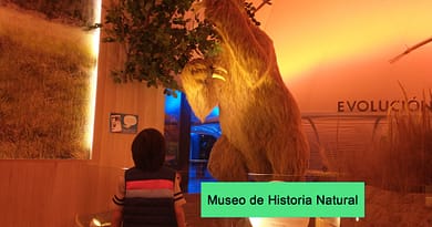 Museo de Historia Natural