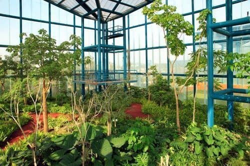 Días de Parque: Bicentenario Refineria Df 73