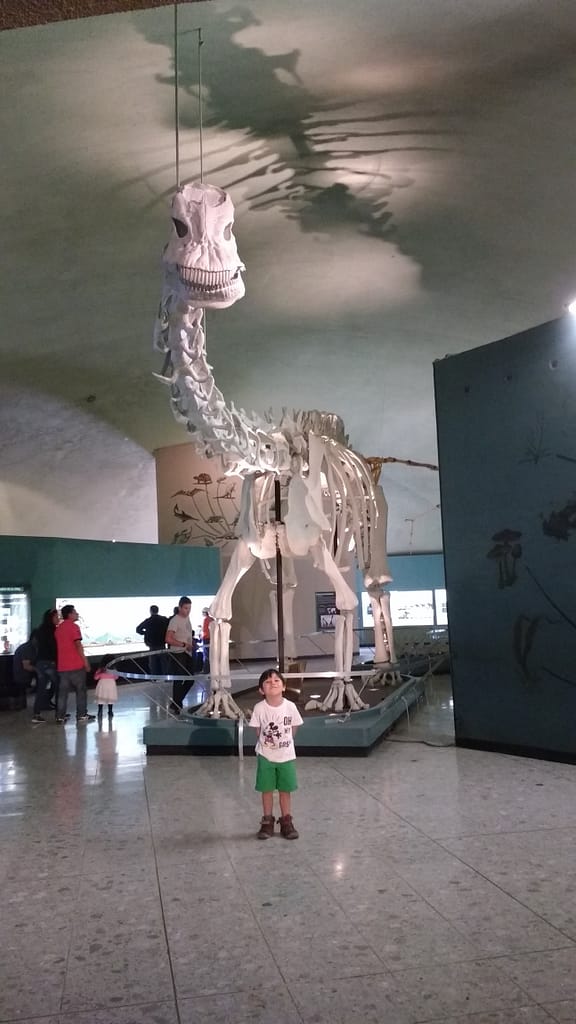 Visitando el Museo de Historia Natural 2