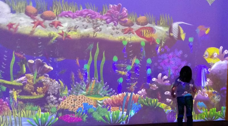 Acuario Inbursa perfecto para los peques 3