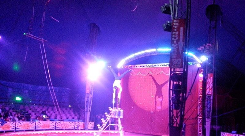 Una noche en el circo Hermanos Fuentes Gasca 1