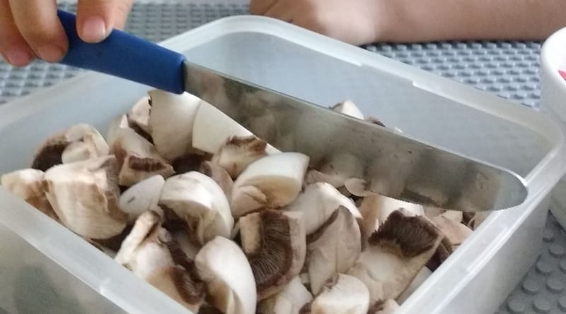 alambre de champiñones
