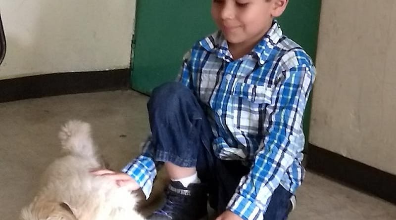 Golden Retriever y Niños
