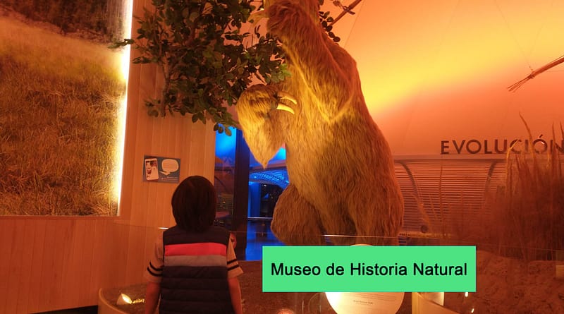 Museo de Historia Natural