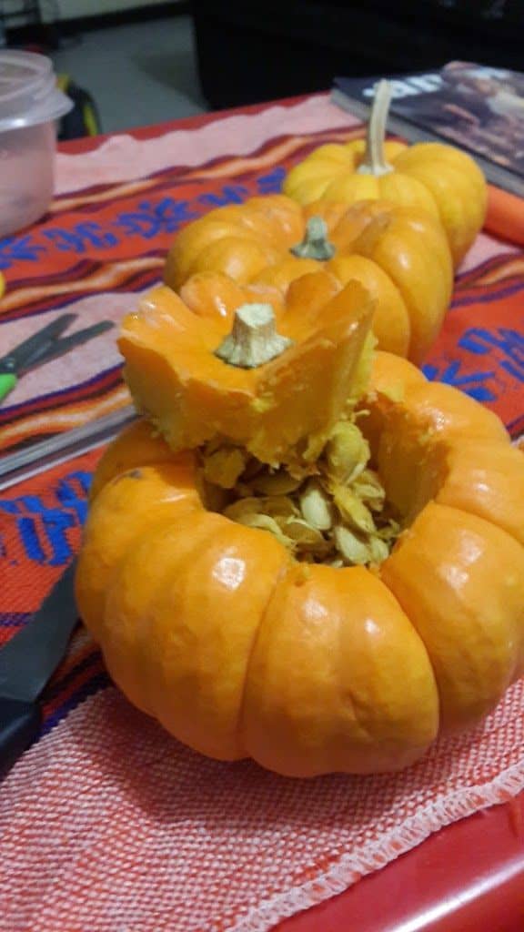 ¿Cómo hacer un Jack ó Lantern? #DIY 9