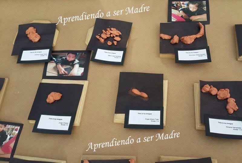 Reggio Emilia Un día en la escuela de Angel 5