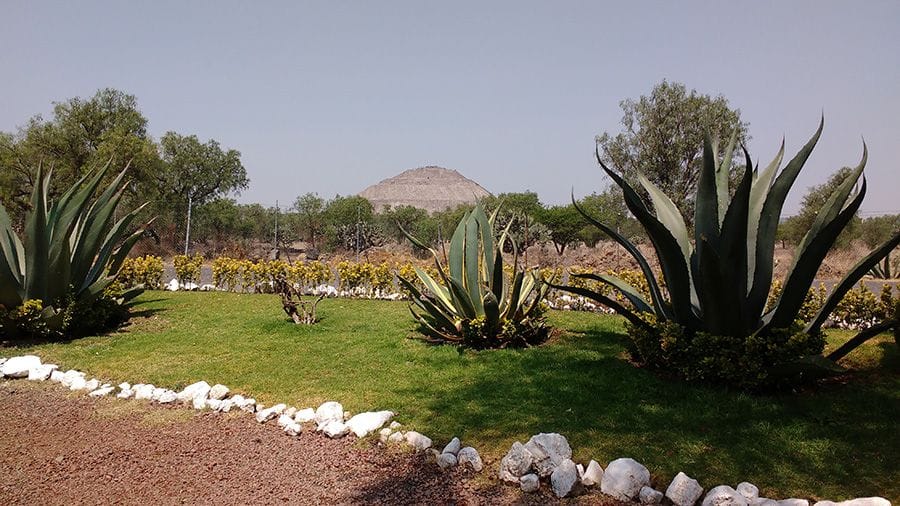 mayahuel teotihuacan