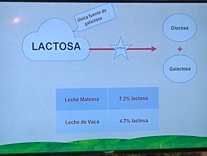 Desmintiendo 10 mitos de alimentación infantil 2